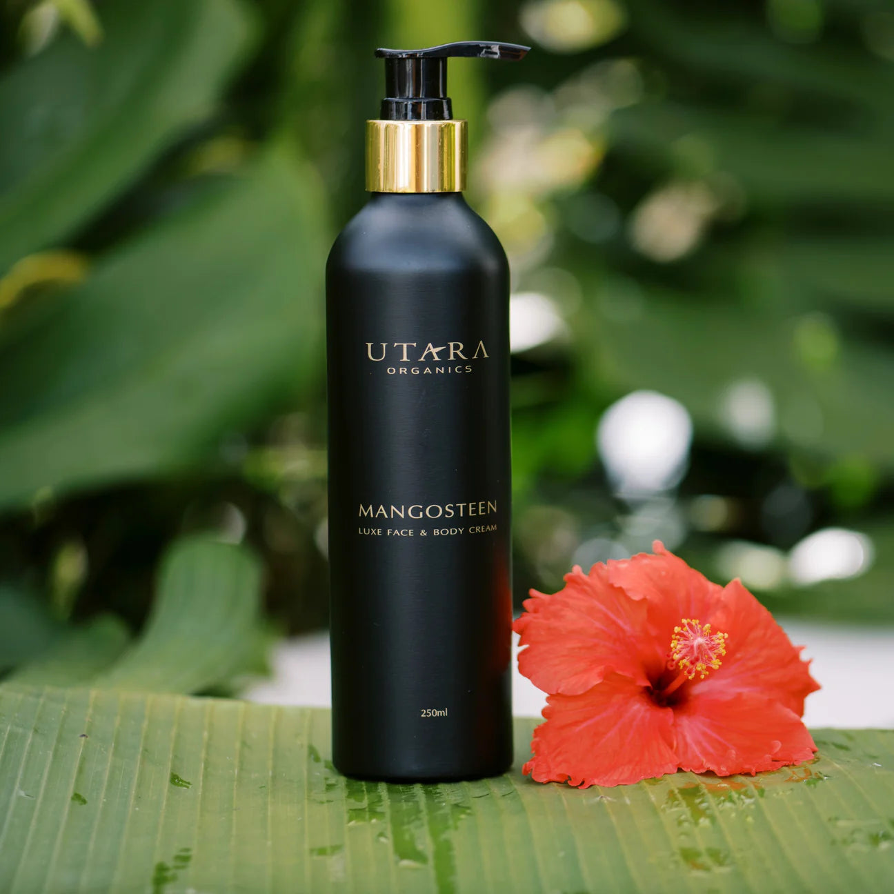 Luxe Face and Body Cream - 250ml