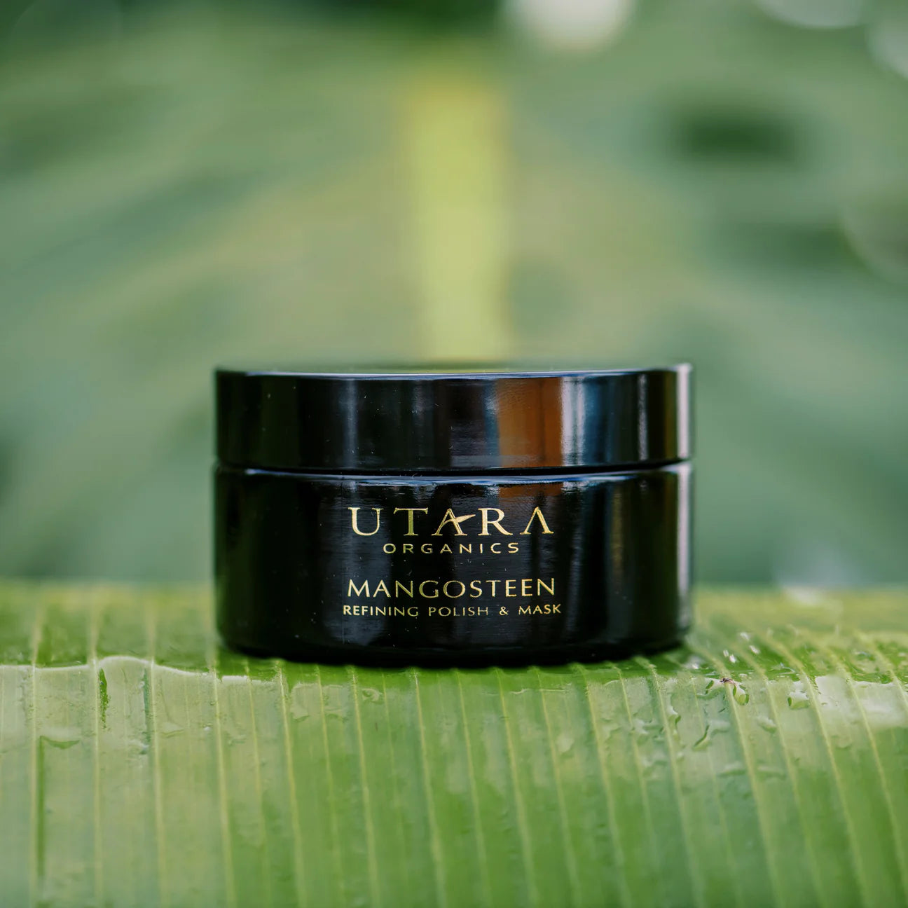 Refining Polish & Mask