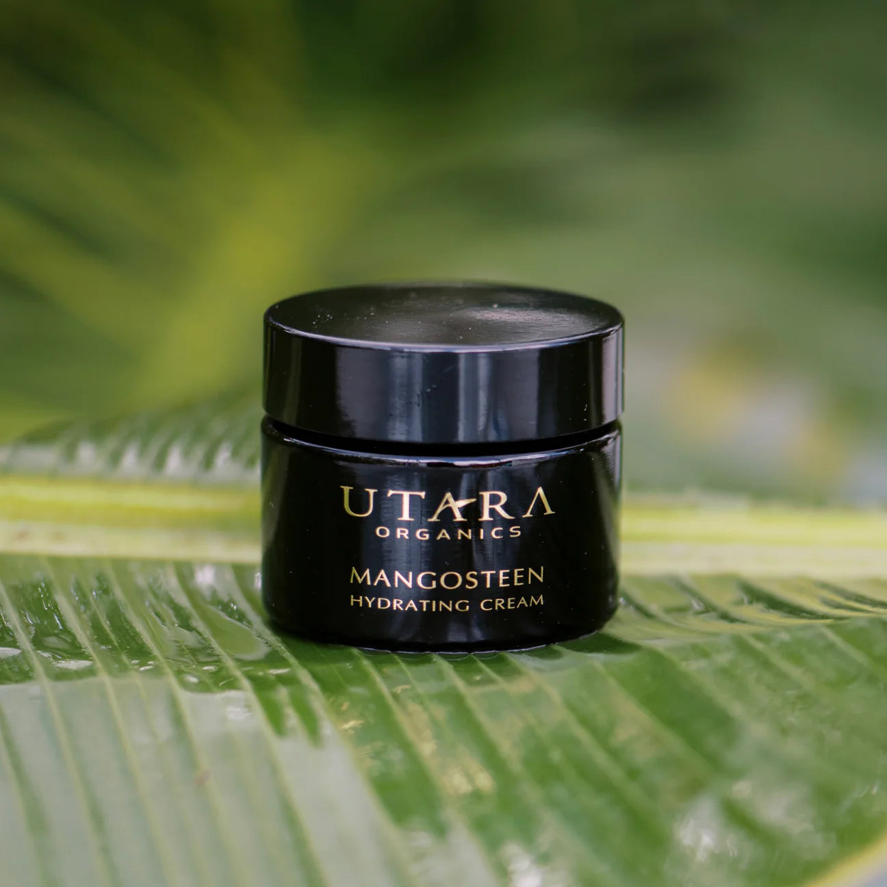 Hydrating Cream - 50ml