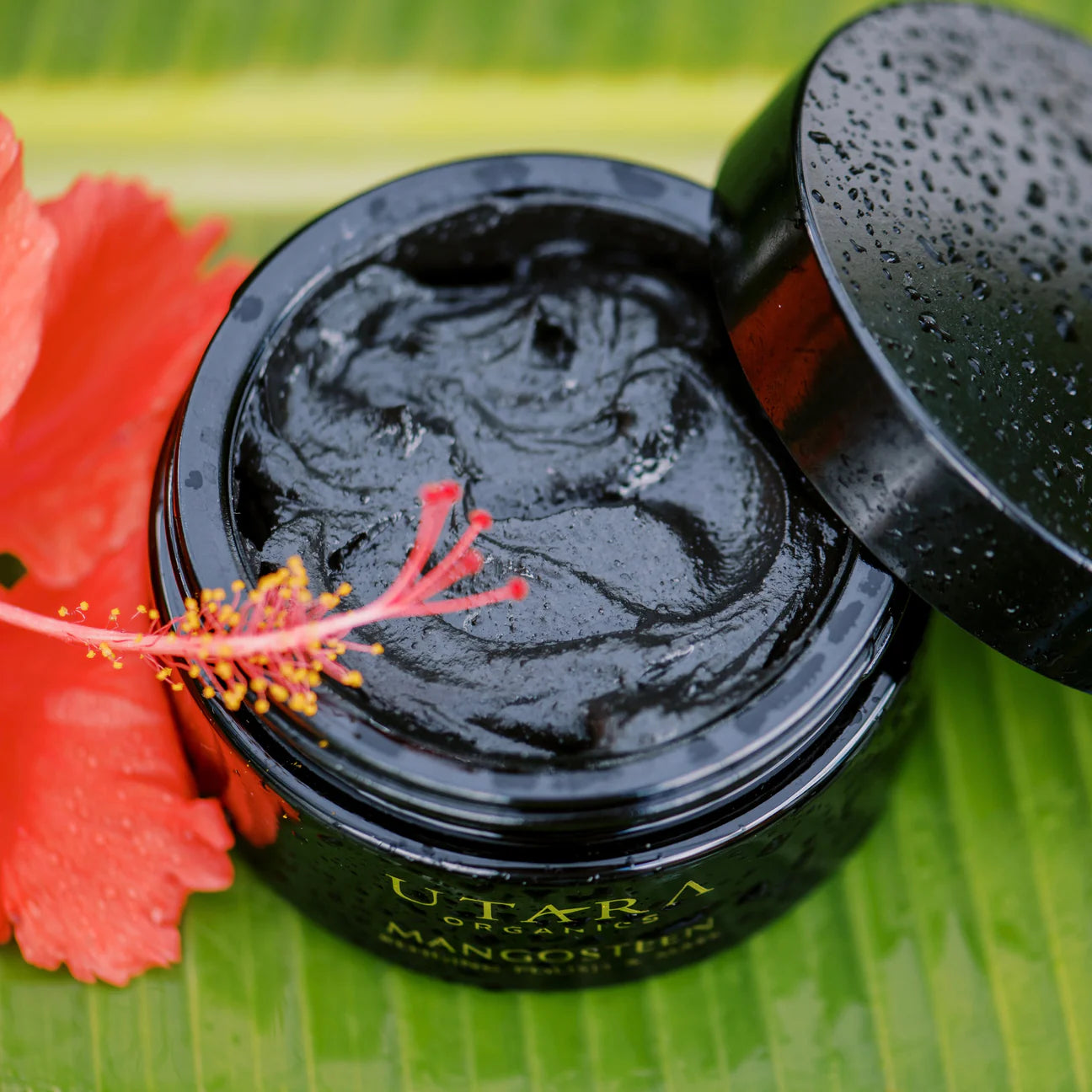 Refining Polish & Mask