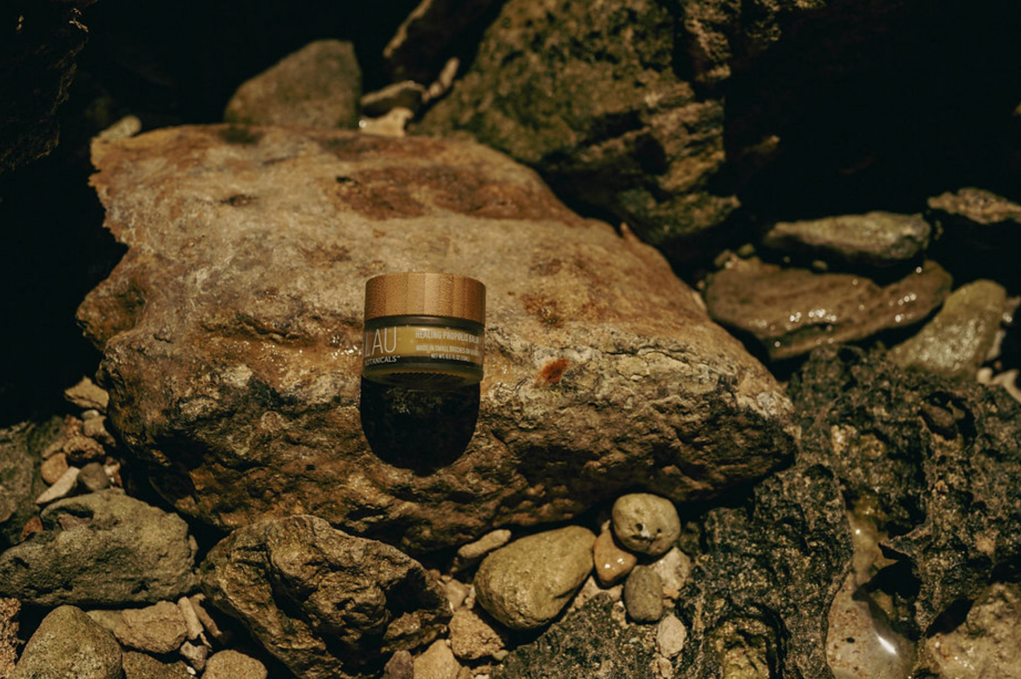 Healing Propolis Balm