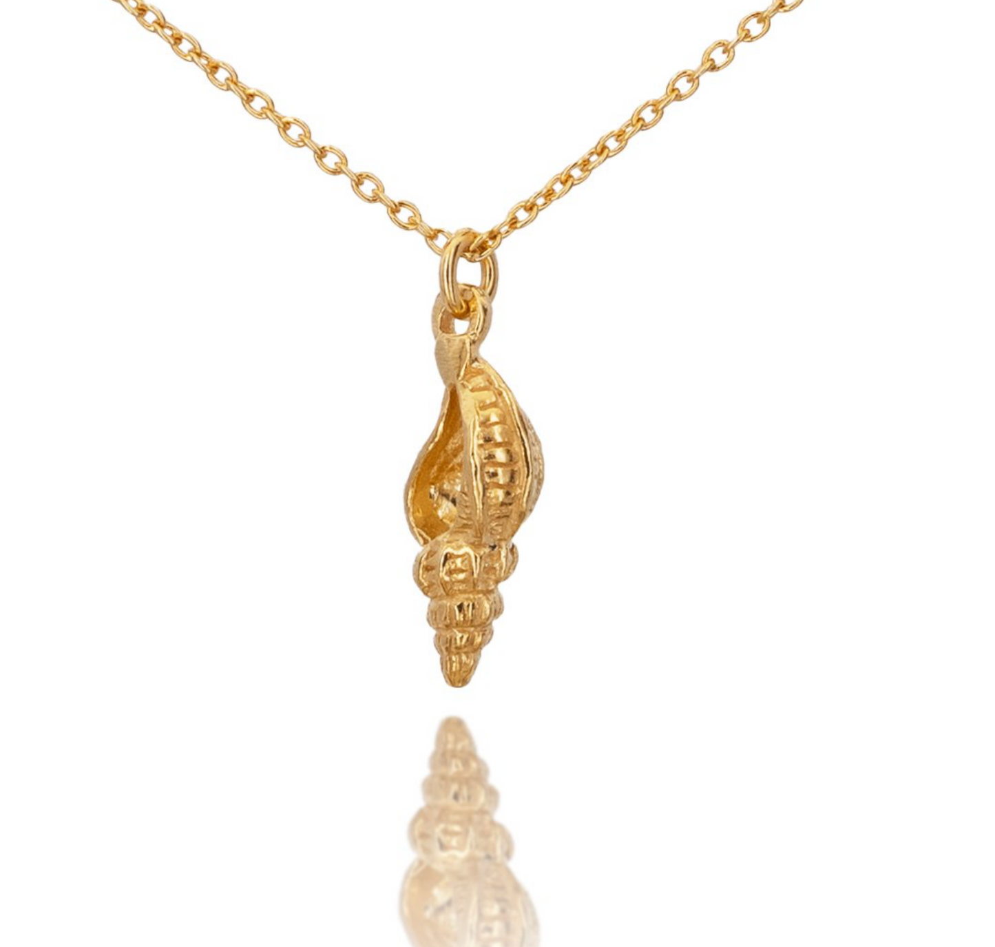 Tropical Charm Necklace (Seashell)