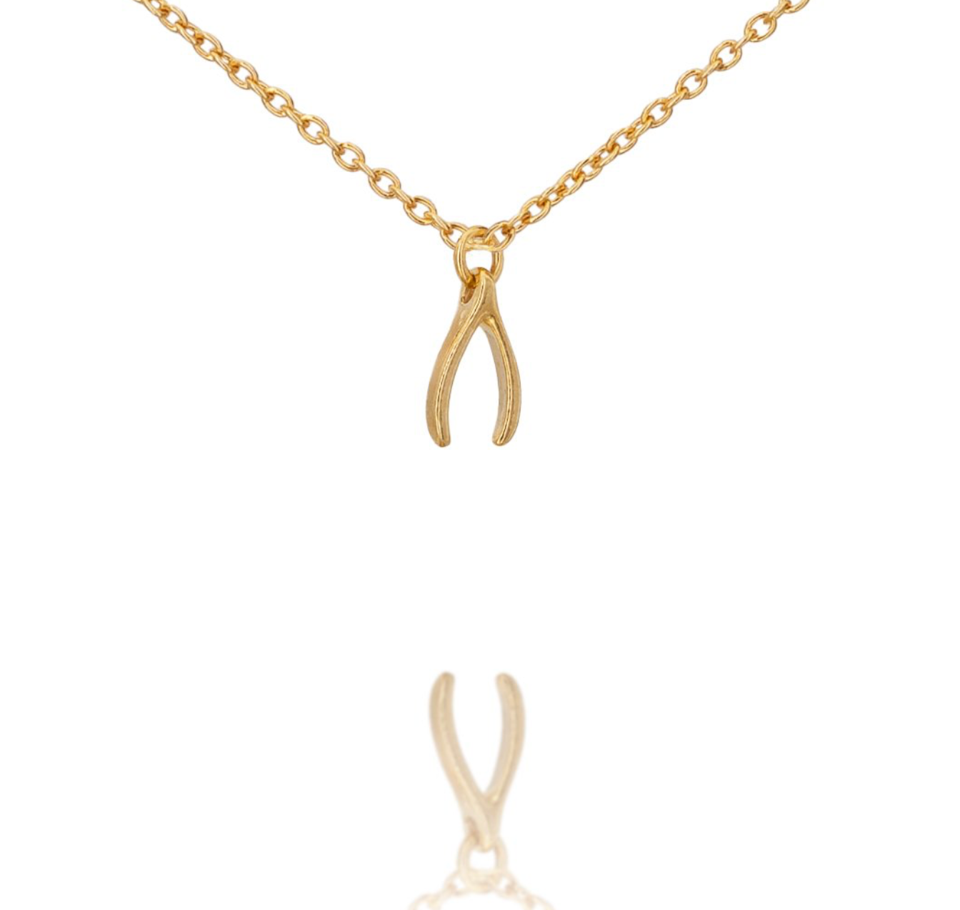 Tropical Charm Necklace (Wishbone)